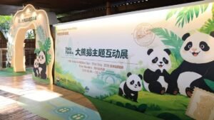 River Wonders to host Panda Planet exhibition and celebrate Jia Jia and Kai Kai’s birthdays this September