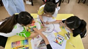 Scrapping PSLE or DSA could create new pressures, send wrong signals: David Neo