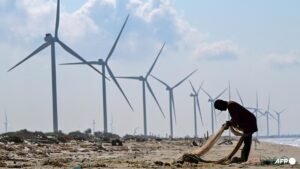 Sri Lankan turbine project fuels anger as fish hauls plunge