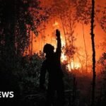 Haze: Who’s to blame for the toxic smog choking South East Asia?