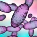 Russia plague: How great is the global risk? Maybe low, but infectious disease experts want more data