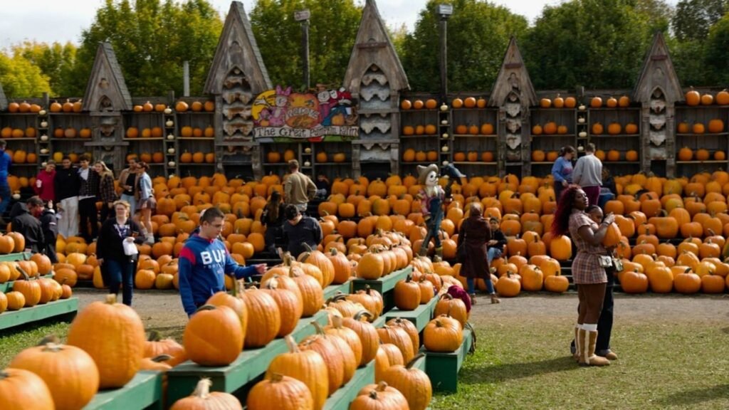 ‘Everyone laughed’ when he started a pumpkin farm—now it brings in $2 million a year