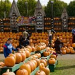 ‘Everyone laughed’ when he started a pumpkin farm—now it brings in $2 million a year