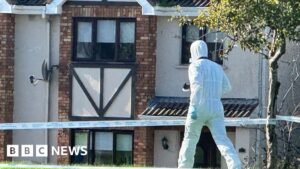 Waterford: Vehicles and devices seized after four murders