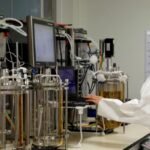 Singapore launches S$143 million initiative to develop industrial decarbonisation technologies