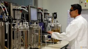 Singapore launches S$143 million initiative to develop industrial decarbonisation technologies
