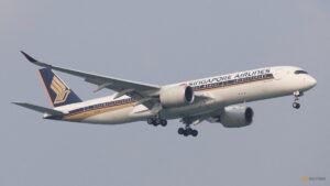 Singapore Airlines cancels flights to and from Dubai till Dec 1