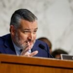 US Senate report says spending on consultants for internet subsidy program tops $200 million annually