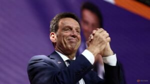 Roux de Bezieux set to lead French Alps 2030 committee, source says
