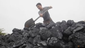 Vietnam’s Vinacomin to keep coal output at 40 million tons a year up to 2030, state media reports