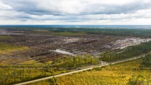 Finland launches criminal probe into land clearance for Google data centre
