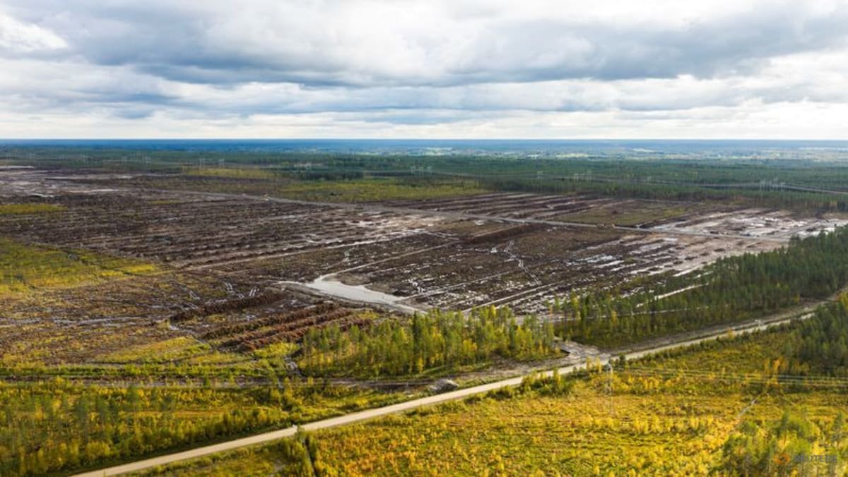 Finland launches criminal probe into land clearance for Google data centre