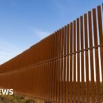 Five ways Trump has changed immigration in the US