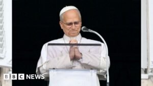 Pope Leo XIV thanks wellwishers in first event after cancer surgery