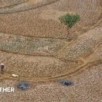 Five ways El Niño is affecting the weather around the world