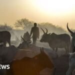 South Sudan cattle raids: Co-oridanted attacks kill at least 72 people in Warrup state