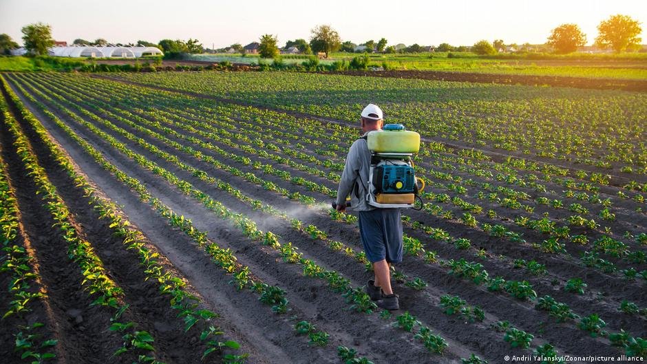 The EU wants to make it easier to use pesticides. Here’s why