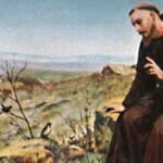 What would Francis of Assisi make of his fame today?
