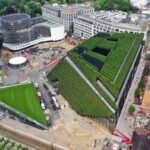 Can green roofs save cities from deadly heat?