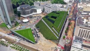 Can green roofs save cities from deadly heat?