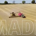 Germany under pressure