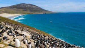 How a multibillion-dollar oilfield has ignited the UK-Argentina feud over the Falkland Islands