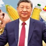 China’s plan to never run out of food