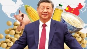 China’s plan to never run out of food