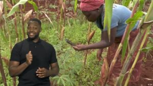 AI farming: Rwanda, Ghana and Morocco show what’s possible