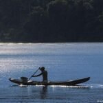 Deforestation in Brazil’s Amazon falls to record low