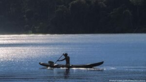Deforestation in Brazil’s Amazon falls to record low