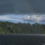 Brazil: Amazon deforestation lowest in nearly 40 years