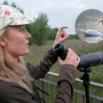 Gen Z ditches screens for binoculars: Birdwatching is booming