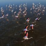 Turkey: How a unique salt lake is disappearing