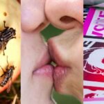 Liberals and conservatives find different things disgusting. Here’s what the research shows