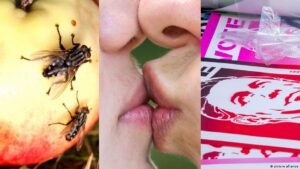 Liberals and conservatives find different things disgusting. Here’s what the research shows