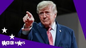 US midterms: What’s at stake for Trump?