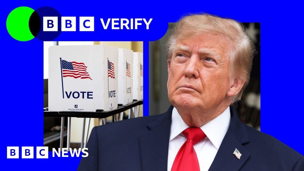 Trump says US voter fraud is ‘rampant’ – evidence suggests it is extremely rare