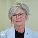 Helen Haines: Australian MP loses both legs after alleged car attack