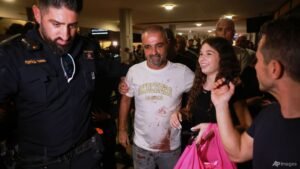 UAE probes possible ‘terror’ link in attack on flydubai flight to Israel