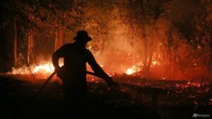 Singapore to send haze prevention notices to 7 companies in Indonesia responsible for fires