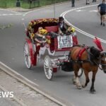 Horse carriages in New York City expected to be outlawed