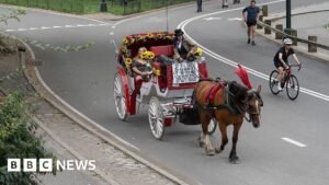 Horse carriages in New York City expected to be outlawed