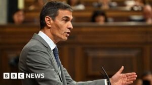 Spanish PM Sánchez loses key housing crisis vote after eviction of woman, 87