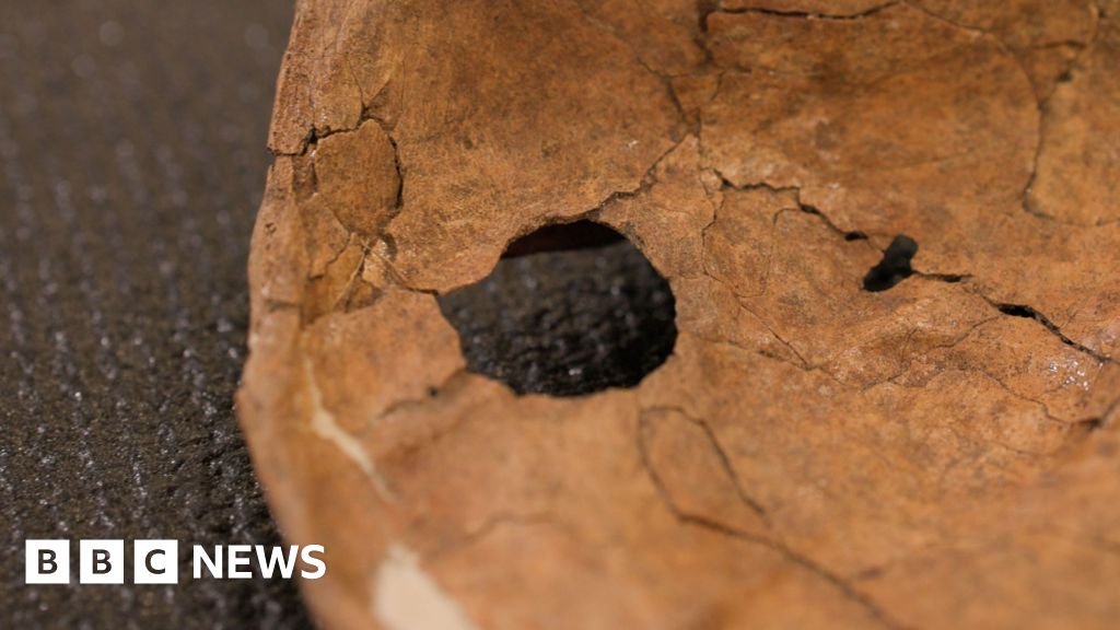 Hole in Neanderthal shoulder bone linked to ancient wooden spear