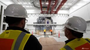 Singapore eyes role in global fusion energy industry