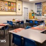 Teachers in Republic of Ireland begin industrial action
