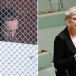Helen Haines: Husband of attacked Australian MP to speak after suspect faces court for first time