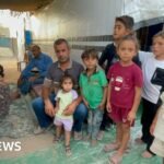 World Food Programme forced to cut aid to Gaza due to funding shortages