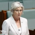 Australian MP Helen Haines’ condition improves after alleged car attack